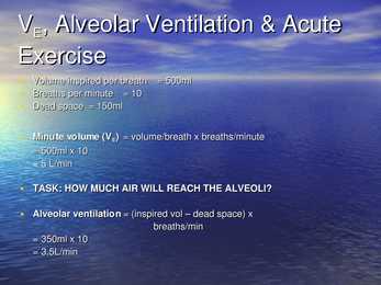 Exercise Physiology - lecture 1 #10