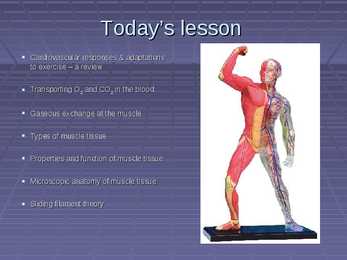 Exercise Physiology - lecture 4 Blood-gas exchange-transport #2