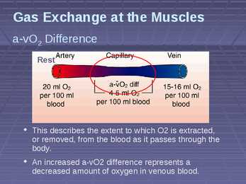 Exercise Physiology - lecture 4 Blood-gas exchange-transport #14