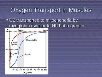 Exercise Physiology - lecture 4 Blood-gas exchange-transport #16