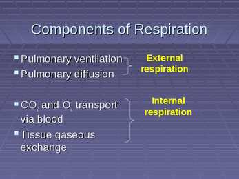 Exercise Physiology - lecture 4 Blood-gas exchange-transport #3