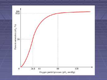 Exercise Physiology - lecture 4 Blood-gas exchange-transport #6
