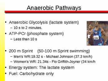 The Anaerobic Energy Systems 7 #2