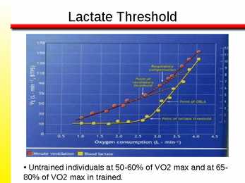 The Anaerobic Energy Systems 7 #11
