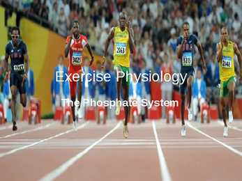 The Anaerobic Energy Systems 7 #12