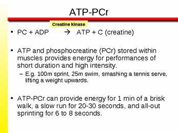 The Anaerobic Energy Systems 7 #14
