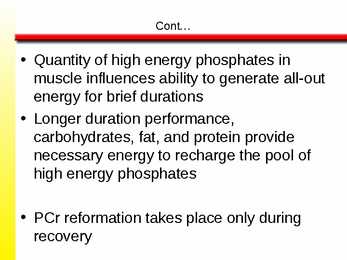 The Anaerobic Energy Systems 7 #15