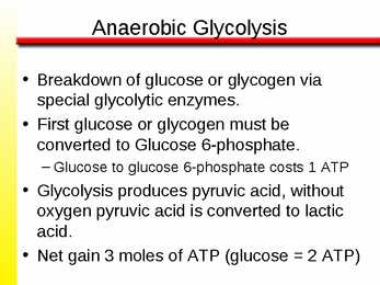 The Anaerobic Energy Systems 7 #3