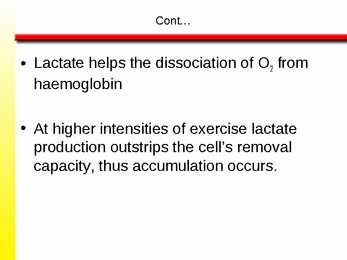 The Anaerobic Energy Systems 7 #7