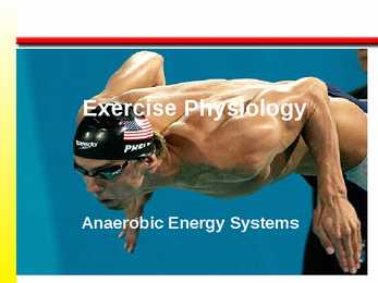 The Anaerobic Energy Systems 7