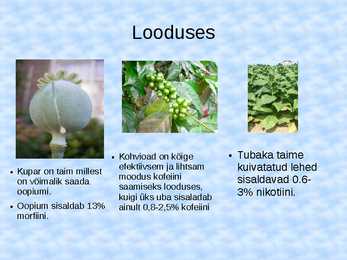 Alkaloidid #5