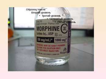 Alkaloidid #8