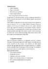 Referaat Enesekehtestamine #4