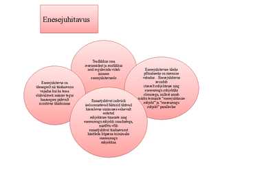 Täiskasvanu kujunemine enesearengu subjektiks #11