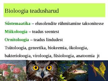 Teaduslik uurimismeetod #3
