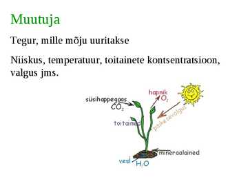 Teaduslik uurimismeetod #8
