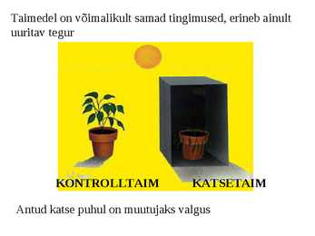 Teaduslik uurimismeetod #9
