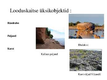 Eesti kivimid #12