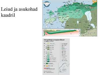 Eesti kivimid #13
