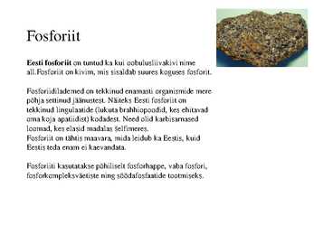 Eesti kivimid #7