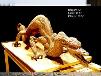 HIINA KUNST #73