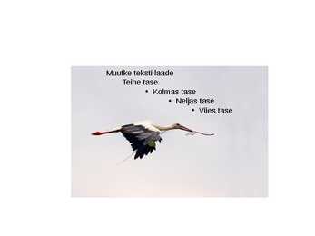Valge toonekurg #11