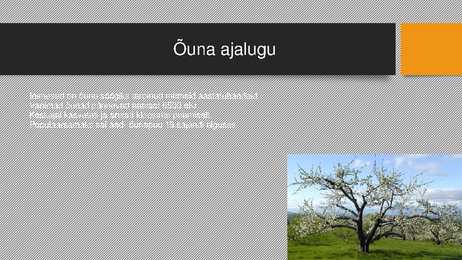 Õun #4