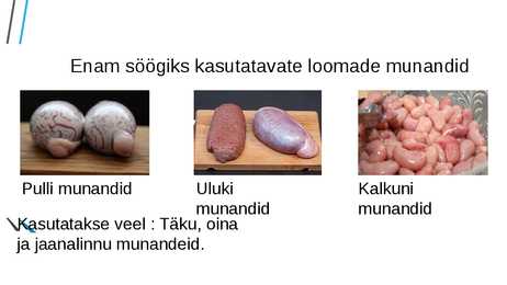 Munandid toiduvalmistamises #2