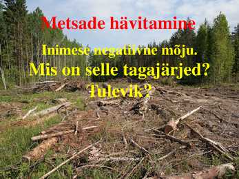 Urbaniseerumine ja sellega kaasnevad keskkonnaprobleemid #6