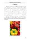 GMO - geneetiliselt muundatud organismid #8