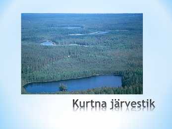 Järved #2
