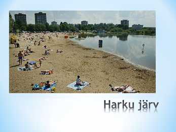 Järved #13