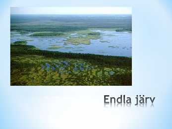 Järved #16