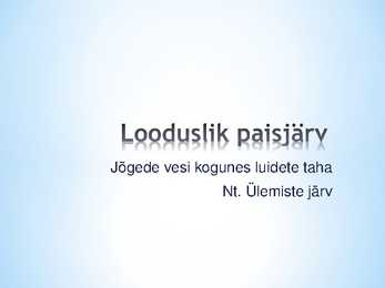 Järved #17
