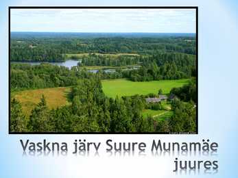 Järved #7