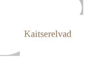 Keskaja relvad #14
