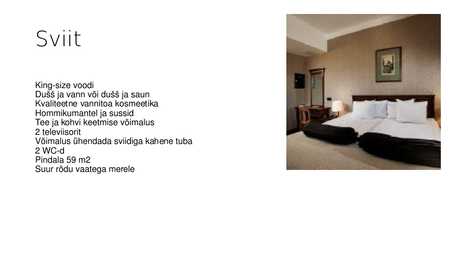 Hotell Euroopa #9