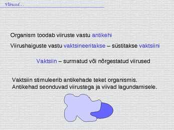 Bioloogia - esitlus - viirused #12