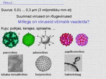 Bioloogia - esitlus - viirused #3