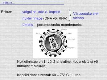 Bioloogia - esitlus - viirused #4