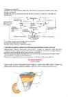 Geograafia riigieksami materjal #2