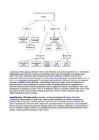 Arvutid 1 EXAM Vene keeles #28