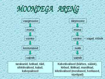 Paljunemine ja areng #24