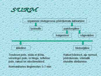 Paljunemine ja areng #27