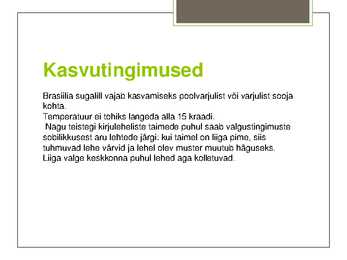 Brasiilia sugalill #4