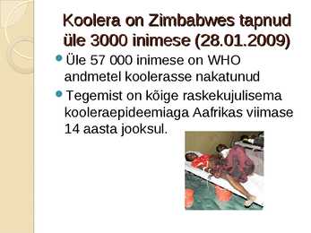 Koolera #16