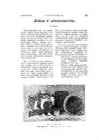 Raadiotehnika ajakiri detsember 1935 #15