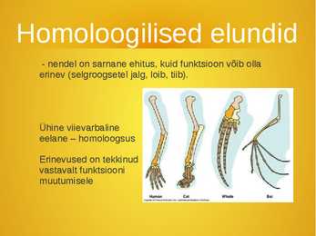 Evolutsiooni tõendid #6