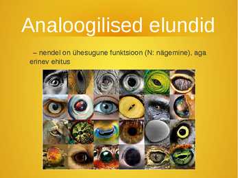 Evolutsiooni tõendid #7