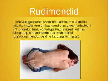 Evolutsiooni tõendid #8